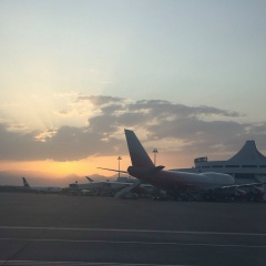 Елена Еленина, 14.05, Москва