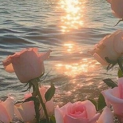 Olga Nazarova, 11.11, Bordeaux