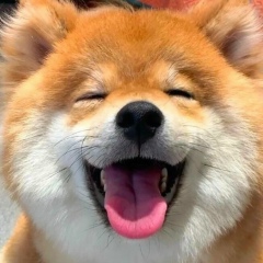 Аделина Пимичева, 18.11, Bergen