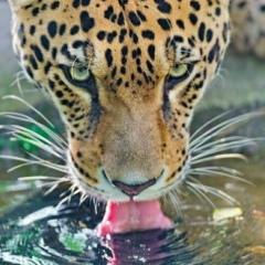 Marina Polyakova, 20.01, Санкт-Петербург