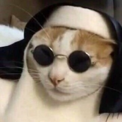 Артём Цветков, 13.08