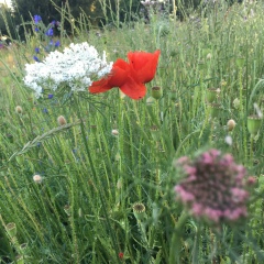 Марина Почтовая, 21.03