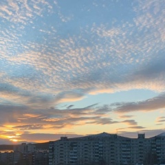 Юлия Ступникова, Волгоград