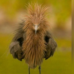 Оксана Руненко, Москва