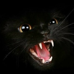 Наталия Иванова, 27.03, Москва