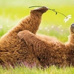 Алина Ябловская, 20.01.2000, Днепр (Днепропетровск)