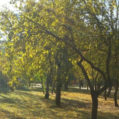 Таня Макальская, 06.02.1985, Киев