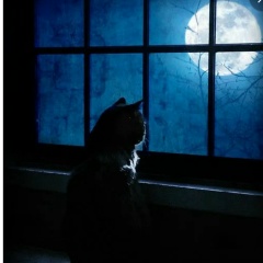 Yulia Sungurova, 16.12