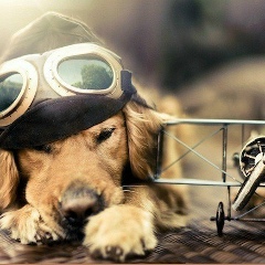 Air Avia, 18.06.1979, Астана