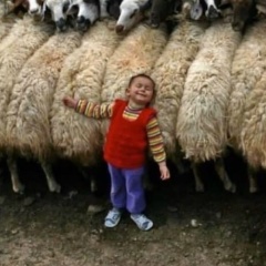 Радима Парагульгова, 15.03.1995, Los Angeles