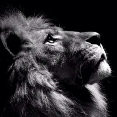 Лев Садовников, 02.07, Архангельск