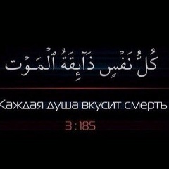 Салман Мешиев, 08.04.1991, Грозный