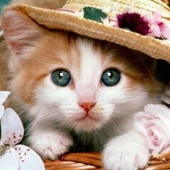 Ольга Казанцева, 11.07, Барнаул