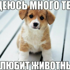 Виктория Тян, 01.02.2003