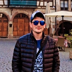 Армен Саргсян, 30.12, Strasbourg