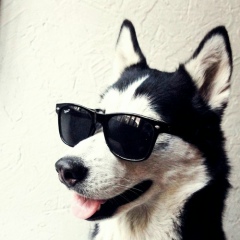 Алмат Піржан, 20.07, Актау