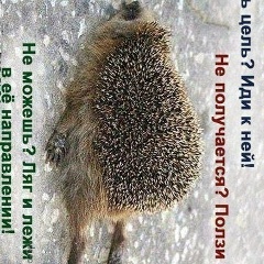 Олег Бунин, 17.03.1985, Симферополь