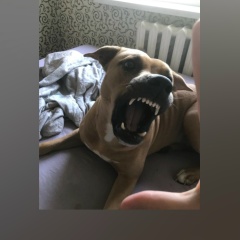 Ирина Владимировна, 12.03, Светогорск