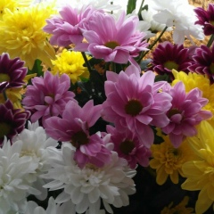 Сандугаш Суюнова, 06.04, Актобе