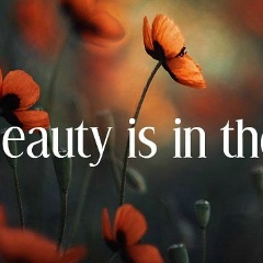 Михаела Моисеи, 07.10.1991, Кишинев