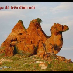 Қайрат Бүрктбаев, 13.03, Актау