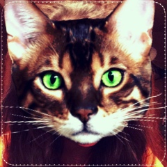 Света Синельникова, 22.01.1999, Уфа