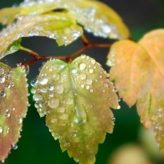 Николай Иванов, 10.11.1989, Волгоград
