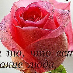 Доктор Хирург, 12.10, Андижан