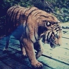 Ahmed Batcarov, 20.03, Москва