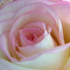 Альфия Нуриманова, 05.08