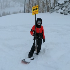 Александр Гельфонд, 08.08.1982