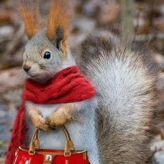 Truly Yours, 13.12.1977, Санкт-Петербург