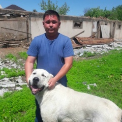 Равшан Садыков, 20.07, Шымкент