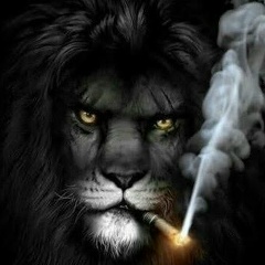 Islam Abu, Ленгер