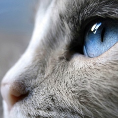 Леночка Васильева, 23.11, Владивосток