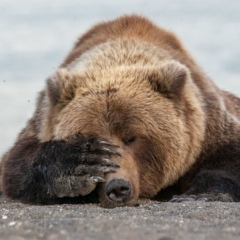 Шамиль Мирзаджанов, 30.12.1985, Москва