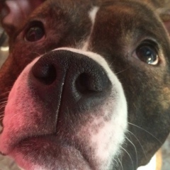 Артур Гильманов, Санкт-Петербург