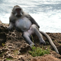 Сергей Кузнецов, 09.10, Москва