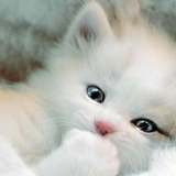 Ruslana Homa, 02.04, Ивано-Франковск