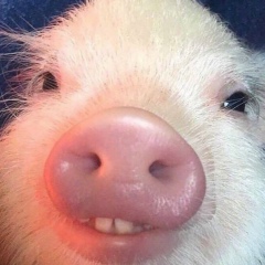 Виталий Потякин, 25.06.1983, Москва