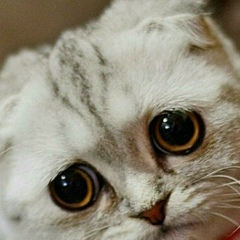 Маня Маня, 02.04.1997