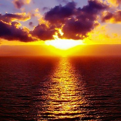 Александр Мержвинский, 14.04.1988, Москва