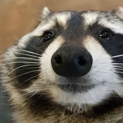 Алексей Баринов, 01.05.1991