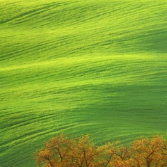 Нурбек Аширов, Алматы