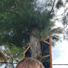 Алекс Иванофф, 10.03, Ульский