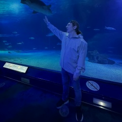 Валерий Торопов, 16.07, Valencia