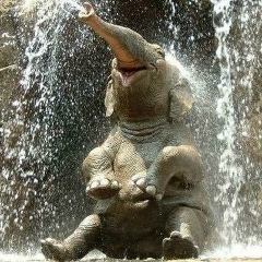 Евгений Соловов, 30.10.1988, Москва