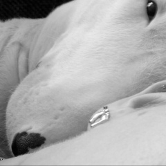 Екатерина Мат, 16.06.1987, Тюмень