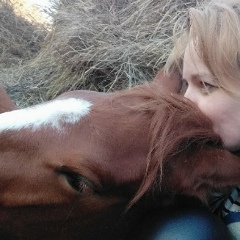 Елена Вишнякова, Ростов-на-Дону