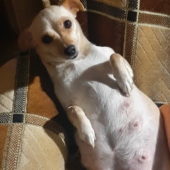 Александр Кремер, 19.03.1992, Омск